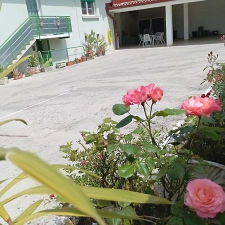 Gorizia Vacanze Appartamento In Villa Con Parcheggio Экстерьер фото